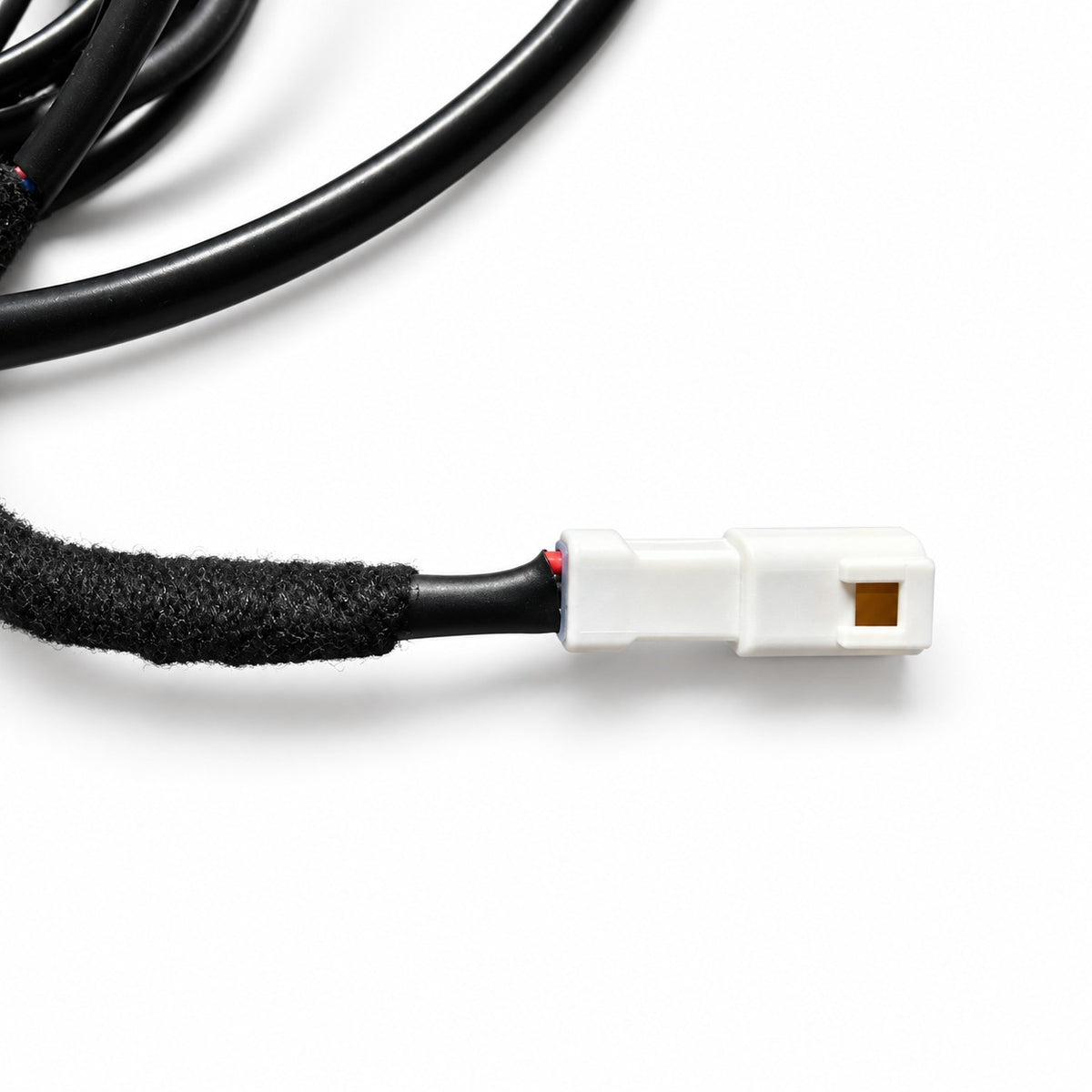 Talaria XXX V3 Plug & Play Rock Light