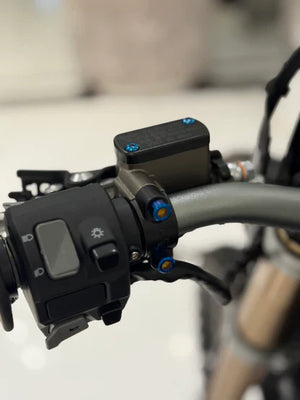 Ultra Bee Brake Mount Titanium