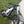 -Talaria x3 frame guards-