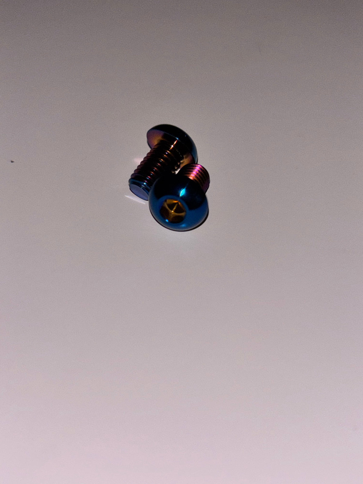 E-Ride Pro Titanium Chain Guard Bolts (2-Piece)