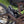 Eride carbon fiber mud guard pre order