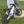 -Talaria x3 frame guards-