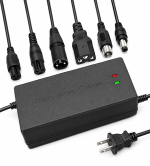 Upgraded Fast Charger For Tuttio, Yozma, and Ridstar