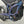 E-Bike 