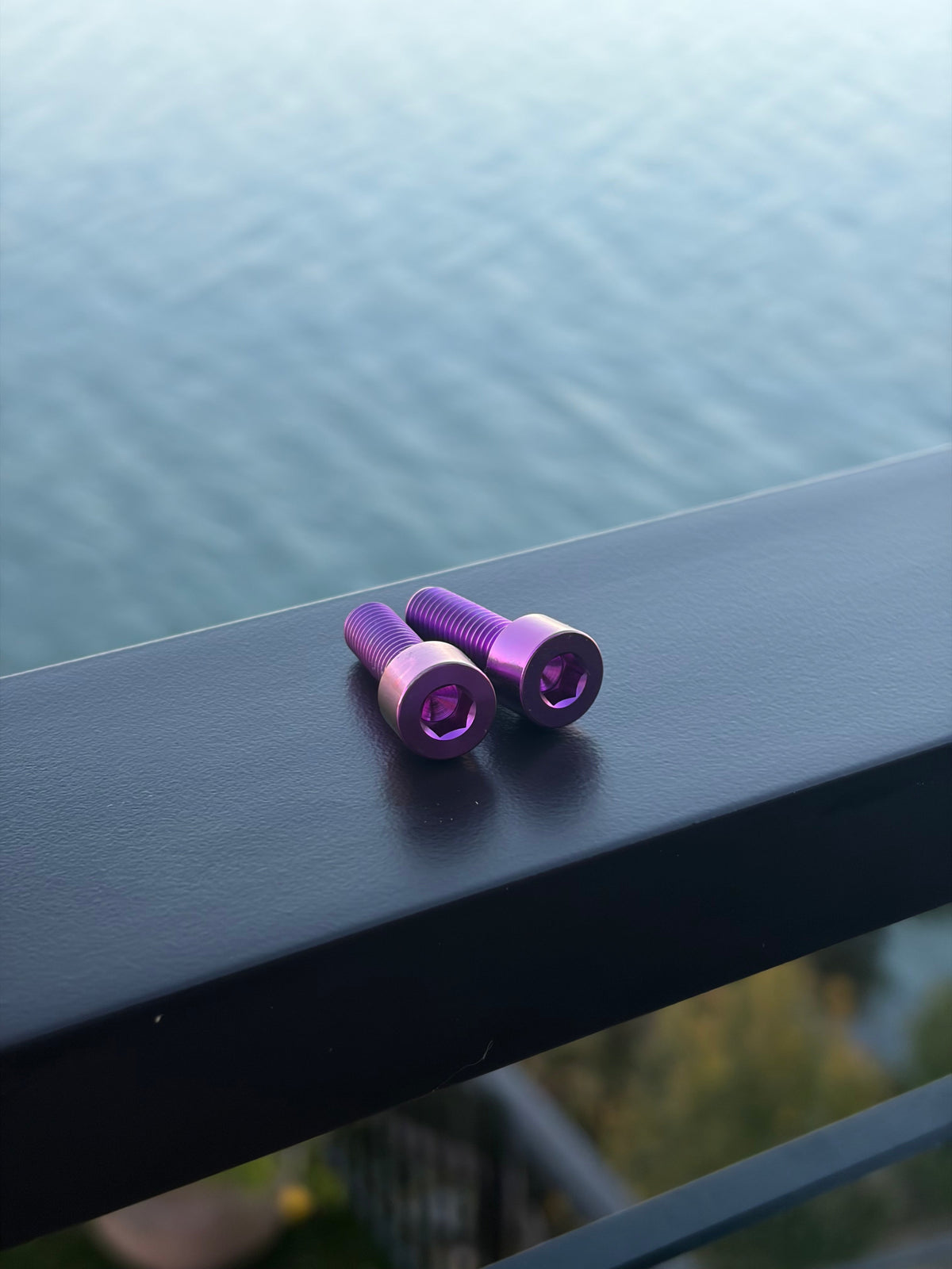 Pair of purple titanium frame bolts from the Surron LBX 16-piece bolt kit.