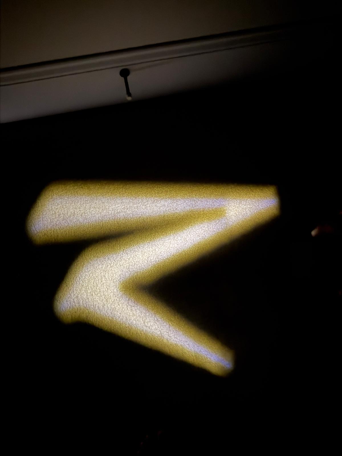 Rawrr Mantis Logo Projection Lights – 2-Pack