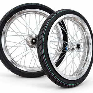 17" CST Chrome LBX/ERide Supermoto Kit